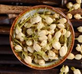 鮮茉莉花怎么炮制成茶？