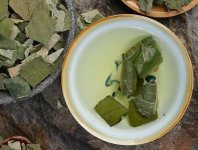 荷葉茶為什么叫短命茶？