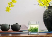 茶藝師證書(shū)含金量？