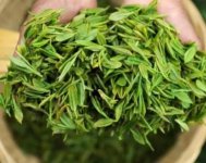 茶樹產(chǎn)量高嗎？一畝產(chǎn)多少斤？