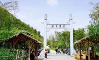 5月12日：徒步貢茶古道，天然氧吧，綠色之旅